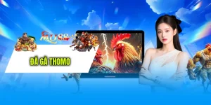 Đá Gà Thomo MU88 - Sảnh Cược Độc Quyền Thắng Tới 99 Triệu